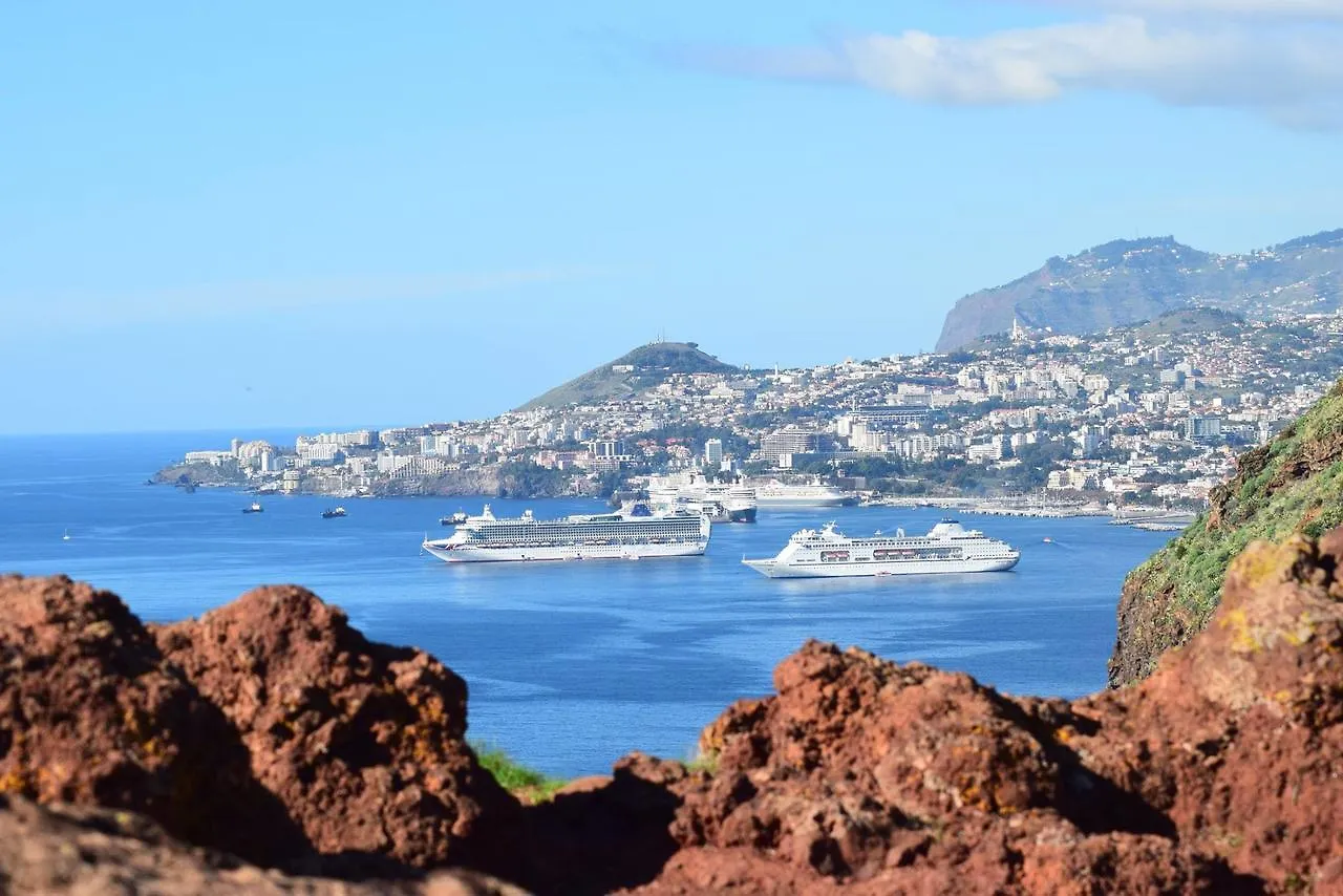 Bright Studio Apartment Funchal