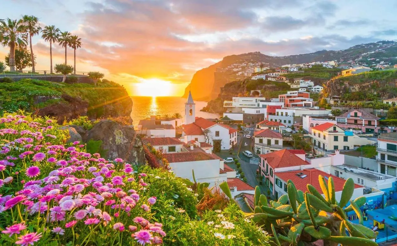 Bright Studio Apartment Funchal
