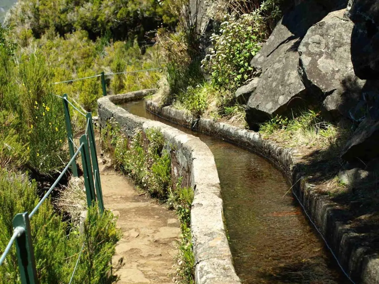 Bright Studio Apartment Funchal   Funchal (Madeira)