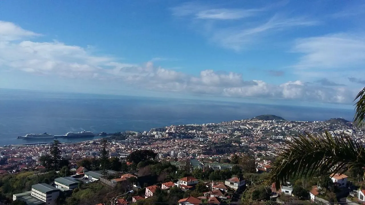Bright Studio Apartment Funchal